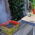Everdure CUBE kulgrill i orange